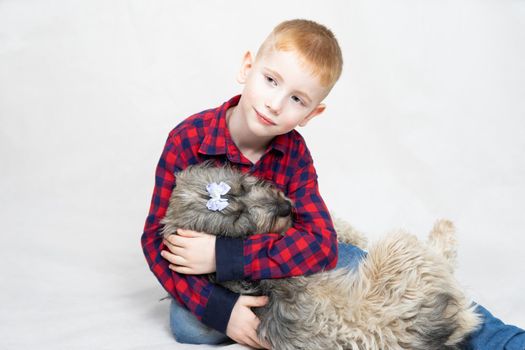 a shaggy mongrel dog lies in the boy's arms. The boy hugs his pet and talks, caresses, pats on the head and back