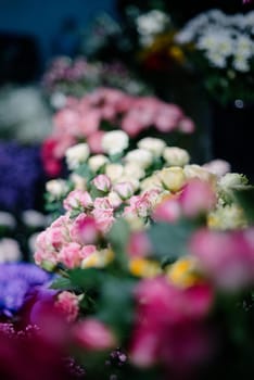 Flower shop.Flowers composition. Abstract background of flowers.Beautiful colorful flowers in flower shop