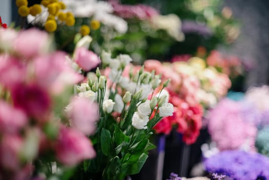 Flower shop.Flowers composition. Abstract background of flowers.Beautiful colorful flowers in flower shop