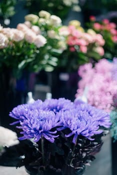 Flower shop.Flowers composition. Abstract background of flowers.Beautiful colorful flowers in flower shop