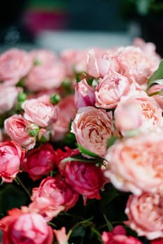 Pink roses in a flower shop.Beautiful flowers for a catalog, online store. Flower business. Concept flower store and delivery.