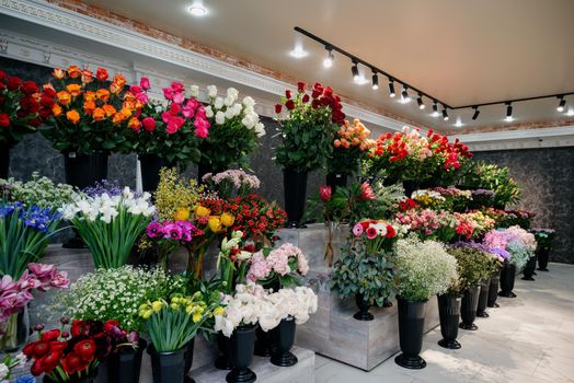 Flower shop.Flowers composition. Abstract background of flowers.Beautiful colorful flowers in flower shop