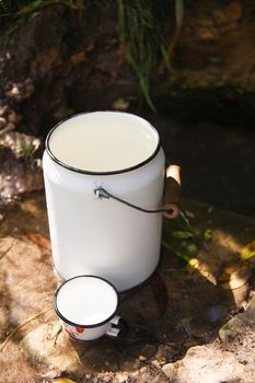 White can and mug full of pure spring water standing on the stone near natural water spring, clear drinking water concept, selective focus.