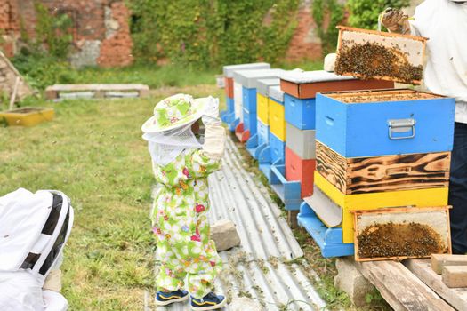 The beekeeper shows the beehive to the kids