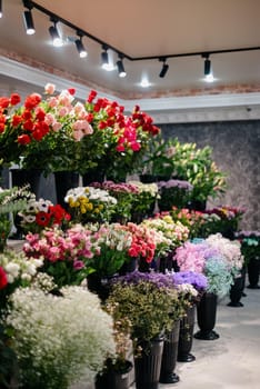 Flower shop.Flowers composition. Abstract background of flowers.Beautiful colorful flowers in flower shop