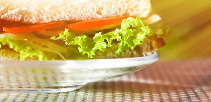 Vegetarian low carb sandwich - healthy diet, homemade and eating outside concept. Enjoy a well-balanced lunch