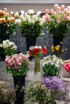 Flower shop.Flowers composition. Abstract background of flowers.Beautiful colorful flowers in flower shop