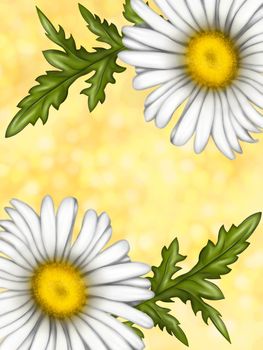 Illustration of chamomile flowers. Background for the design of the postcard. A large bouquet of daisies. White flowers on a light background. Summer