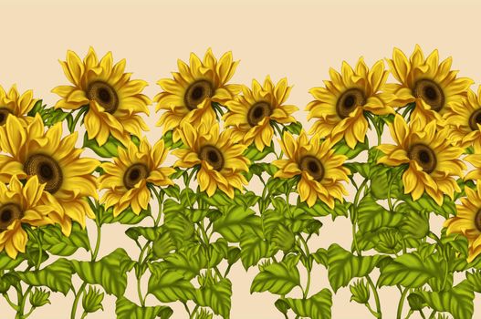 Illustration of sunflowers. Background for the design of the postcard. Illustration of flowers. Bright flowers on a light background. Summer.