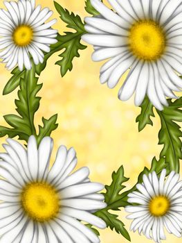 Illustration of chamomile flowers. Background for the design of the postcard. A large bouquet of daisies. White flowers on a light background. Summer