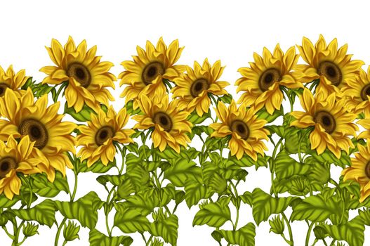 Illustration of sunflowers. Background for the design of the postcard. Illustration of flowers. Bright flowers on a light background. Summer.