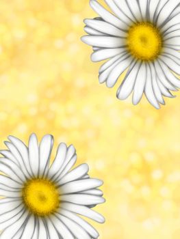 Illustration of chamomile flowers. Background for the design of the postcard. A large bouquet of daisies. White flowers on a light background. Summer