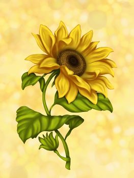 Illustration of sunflowers. Background for the design of the postcard. Illustration of flowers. Bright flowers on a light background. Summer.