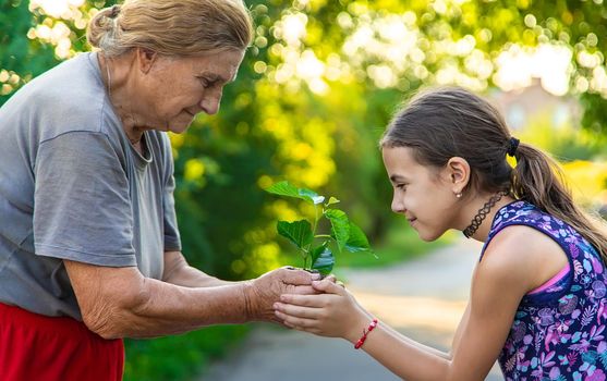 The child and grandmother are planting a tree. Selective focus. Kid.