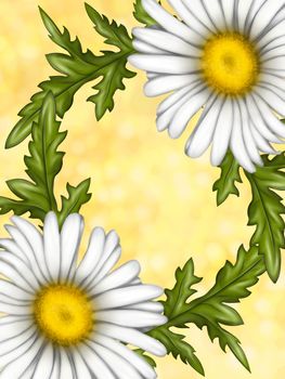 Illustration of chamomile flowers. Background for the design of the postcard. A large bouquet of daisies. White flowers on a light background. Summer