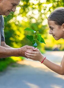 The child and grandmother are planting a tree. Selective focus. Kid.