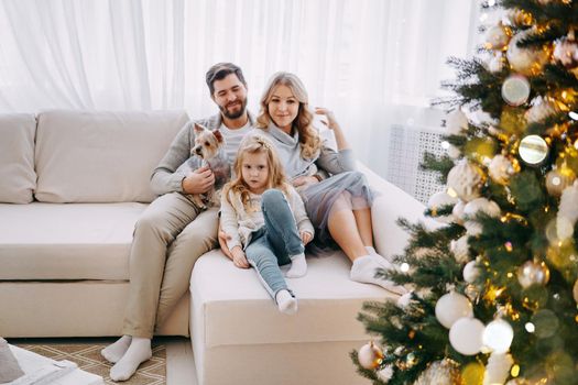 Happy family: mom, dad and pet. Family in a bright New Year's interior with a Christmas tree.