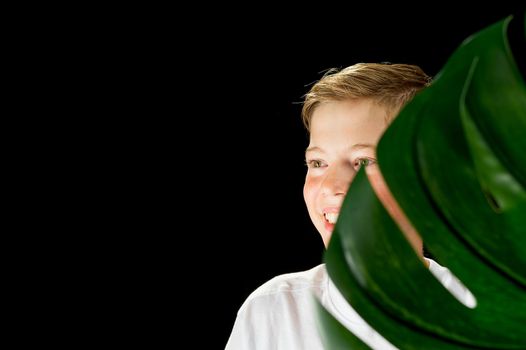 Fashion studio portrait of a boy holds green monstera leaf. cosmetology concept for young teenagers. isolated on black background