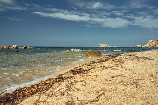 Detail of the shore of a rocky beach typical of southern Sardinia. with many algae deposited on the sand after being transported from the sea.