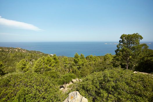 Seascape of a southern coast of Sardinia with in the foreground the typical vegetation that covers this natural territory.