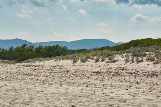 Sandy beach with Mediterranean vegetation in the background covered by a blue sky with clouds before the storm.