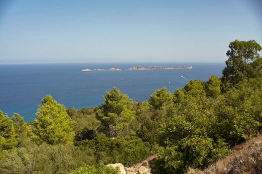 Seascape of a southern coast of Sardinia with in the foreground the typical vegetation that covers this natural territory.
