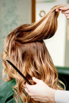 Hairdresser holds a strand of long hair of a young woman in a beauty salon