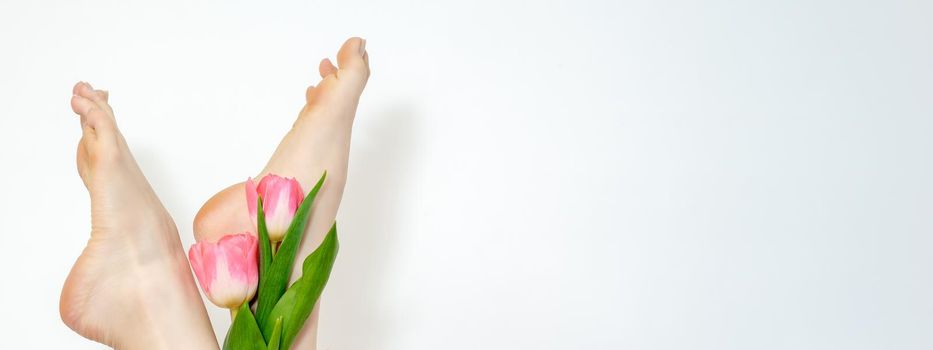 Beautiful slim smooth woman's legs with tulips flowers on white background