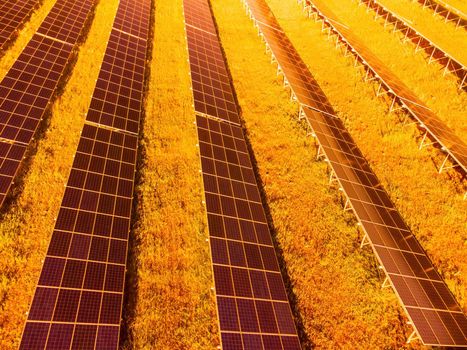 Aerial top view of a solar panels power plant. Photovoltaic solar panels at sunrise and sunset in countryside from above. Modern technology, climate care, earth saving, renewable energy concept