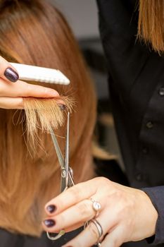 Rear view of female hairdresser cuts tips of woman's hair in beauty salon, closeup