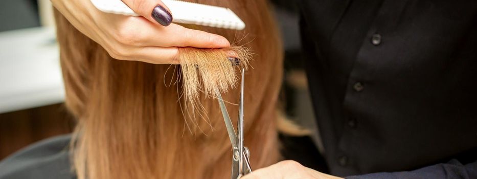 Rear view of female hairdresser cuts tips of woman's hair in beauty salon, closeup
