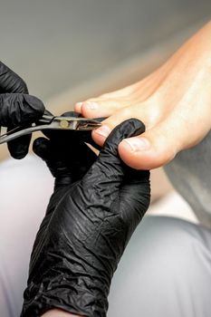Closeup of a pedicure master is cutting and removing cuticle with nail tongs on female toes in a nail salon