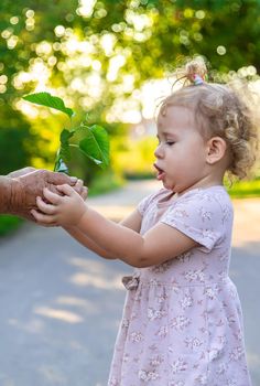 The child and grandmother are planting a tree. Selective focus. Kid.