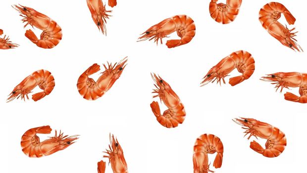Tasty shrimp signage good for your multimedia content design vector or background wallpaper