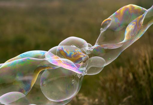 Long, iridescent soap bubble reflecting rainbow colours against a backdrop of moody grassland. Captured with Canon EOS 90D in a marshland in the Scottish Highlands.