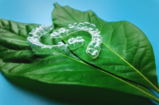 Invisible modern removable braces or aligners for teeth on a blue background with green leaves.
