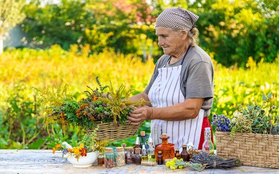 Grandmother makes tinctures from medicinal herbs. Selective focus. People.