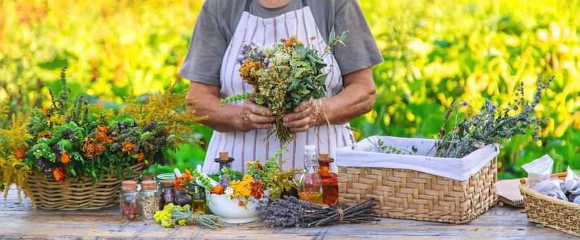 Grandmother makes tinctures from medicinal herbs. Selective focus. People.