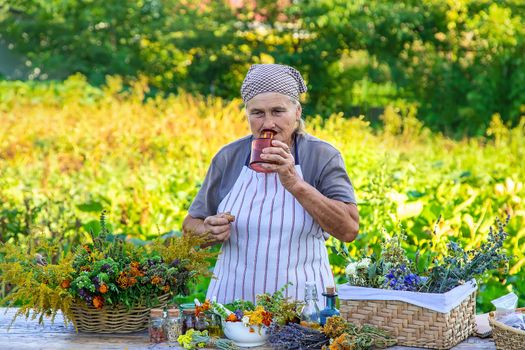 Grandmother makes tinctures from medicinal herbs. Selective focus. People.