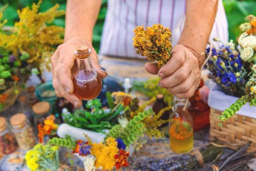 Grandmother makes tinctures from medicinal herbs. Selective focus. People.