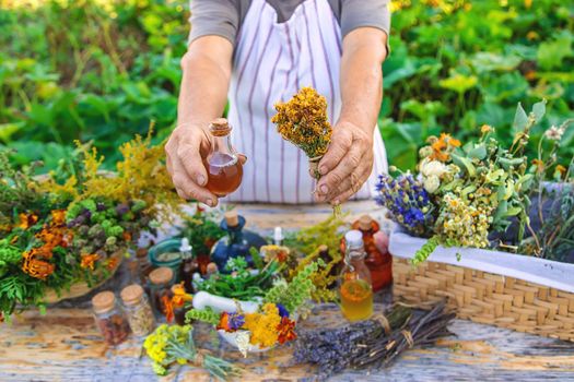 Grandmother makes tinctures from medicinal herbs. Selective focus. People.