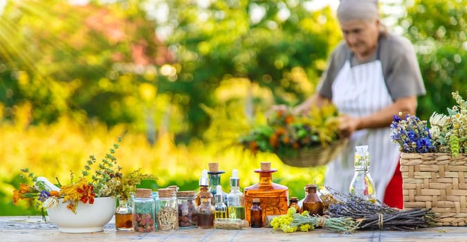 Grandmother makes tinctures from medicinal herbs. Selective focus. People.