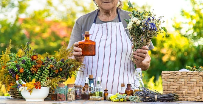 Grandmother makes tinctures from medicinal herbs. Selective focus. People.