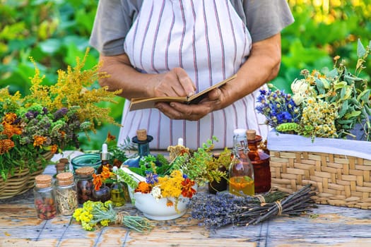 Grandmother makes tinctures from medicinal herbs. Selective focus. People.