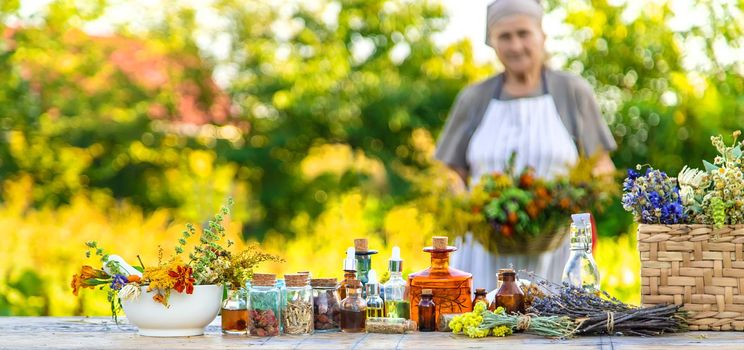 Grandmother makes tinctures from medicinal herbs. Selective focus. People.