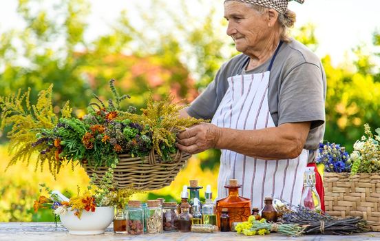 Grandmother makes tinctures from medicinal herbs. Selective focus. People.