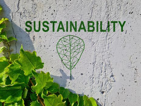 A Word sustainability on concrete wall and green branch.