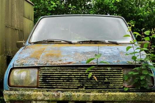 Rusty and moldy facade of an abandoned car. broken car close-up