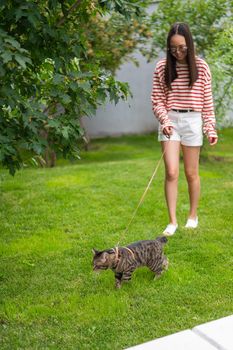 Young woman walking a tabby cat outdoors