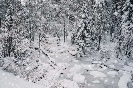 Winter landscape with fair trees under the snow.